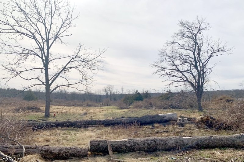 Bonetown - Residential