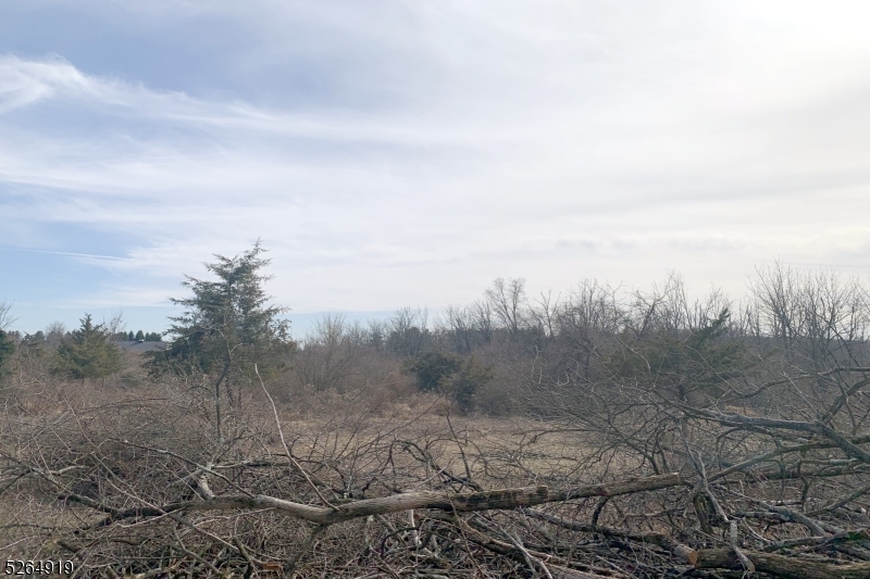 Bonetown - Residential