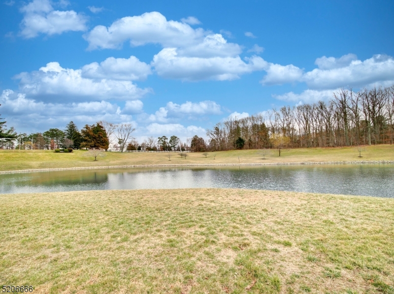 Fairways at Lake Ridge - Residential