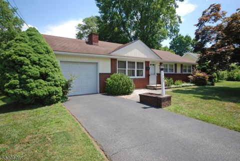 705 Fourth Street, Belvidere Twp., NJ 07823 - MLS#: 3913135