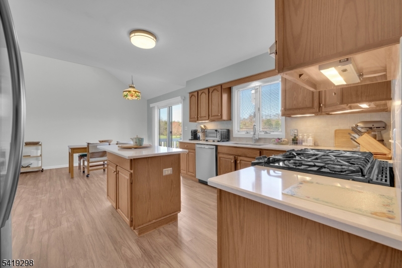 Chestnut Run - Residential