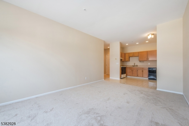 BALD EAGLE COMMONS - Residential