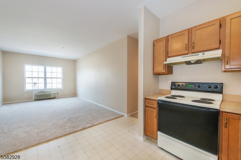 BALD EAGLE COMMONS - Residential