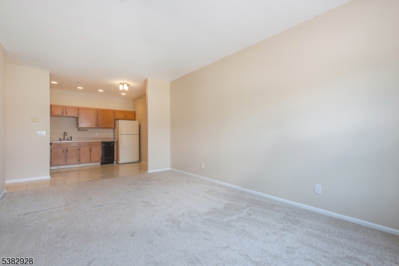 BALD EAGLE COMMONS - Residential