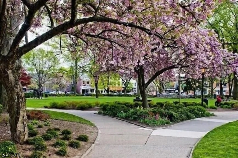 THE BROWNSTONES - Residential