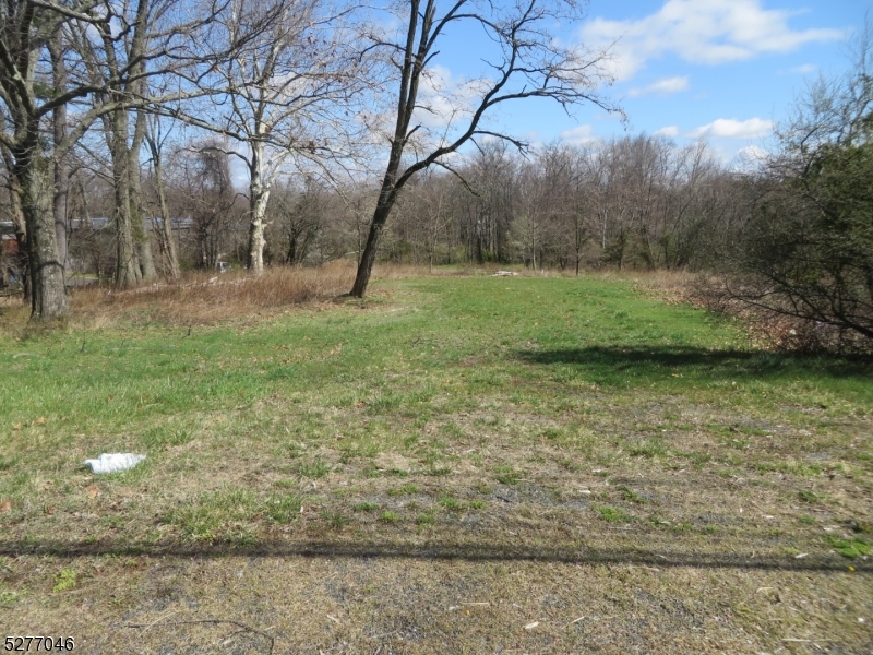 Branchburg Twp., New Jersey 08876, United States, ,Land,Active,79547