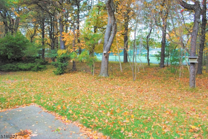 Lions Head South - Residential