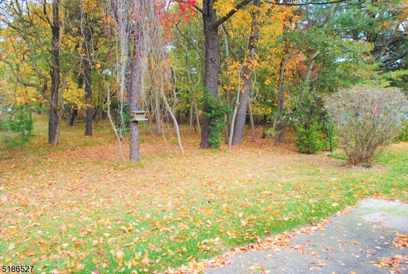 Lions Head South - Residential
