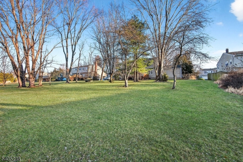 Mendham Boro - Residential