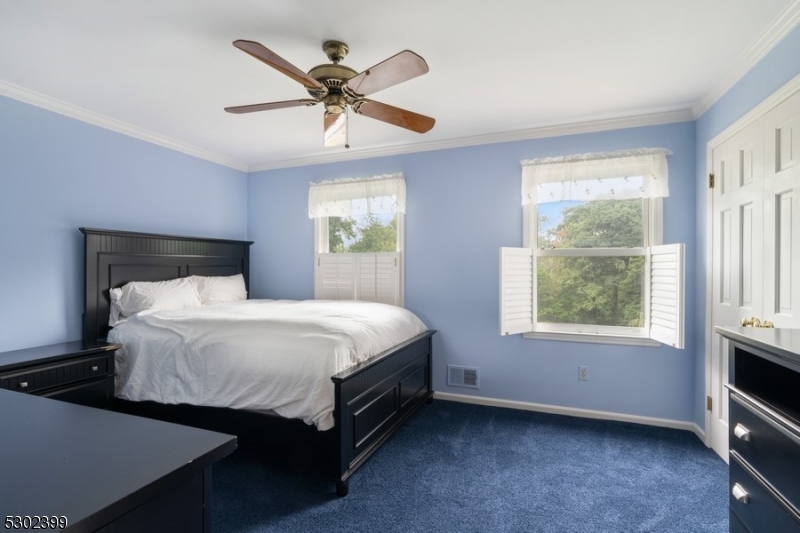 Bernardsville Mountain - Residential