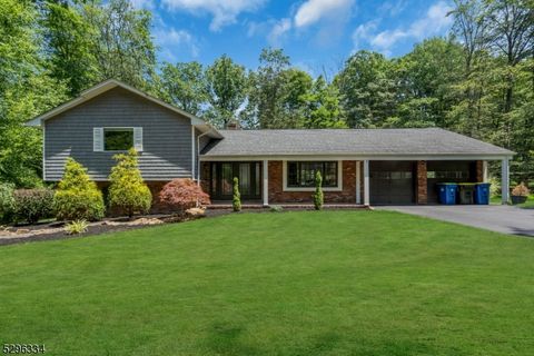 44 Skyline Dr, Warren Twp., NJ 07059 - #: 3910215