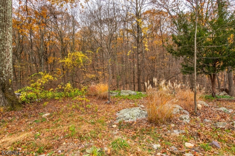 Gordon Lakes - Residential