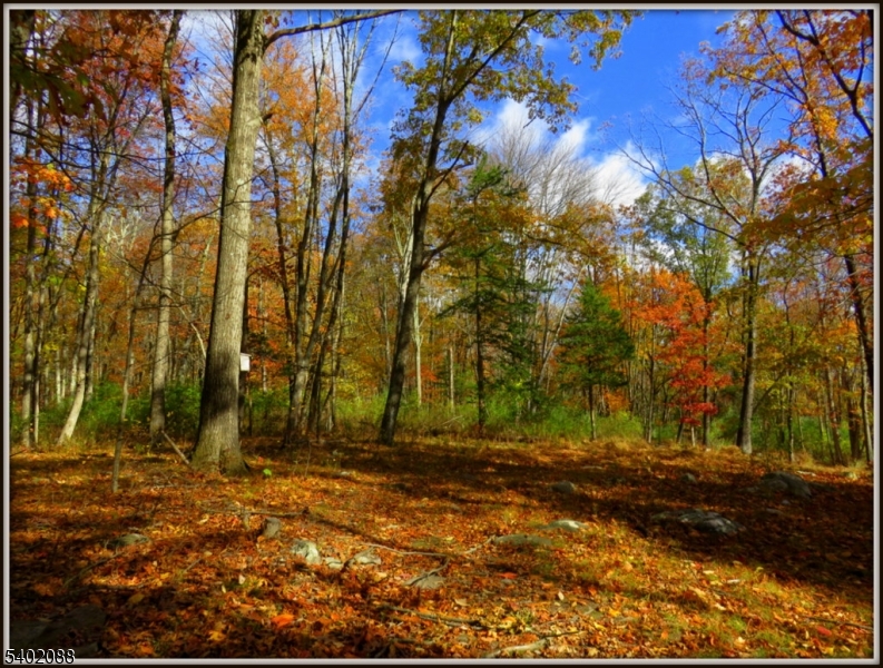 Walpack Federal Lands - Residential