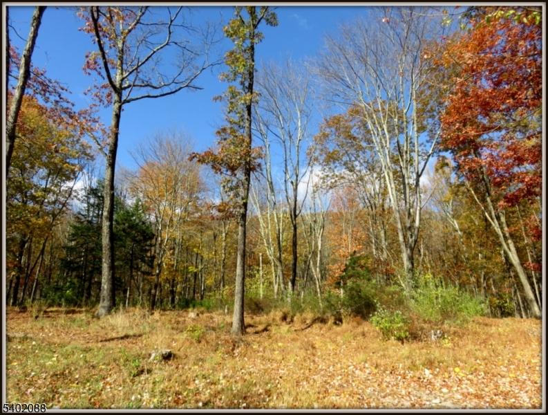 Walpack Federal Lands - Residential