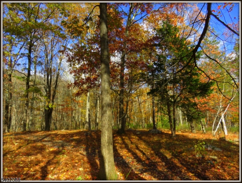 Walpack Federal Lands - Residential