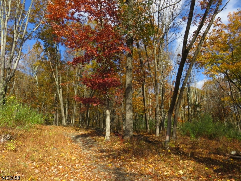 Walpack Federal Lands - Residential