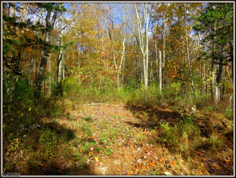 Walpack Federal Lands - Residential