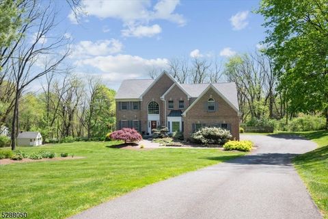 447 Route 24, Chester Twp., NJ 07930 - #: 3902028