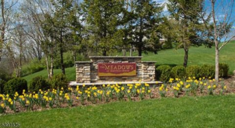 21 Junegrass Way, Allamuchy Twp., NJ 07840 - #: 3995186