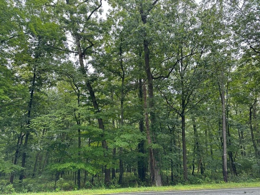 This 5-acre lot is ready to go! All the work has been done for you.  Site plan is available for your review. Originally an 18-acre parcel but has been subdivided into 3 lots.  2 of which ae available!  Rural setting makes this a desirable location to build your HOME.  The new tax rate and amount are not yet available. Buyer to do due diligence with the town.