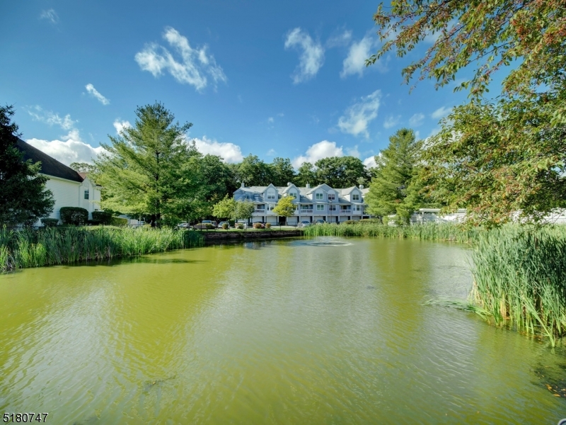 Willow Walk - Residential