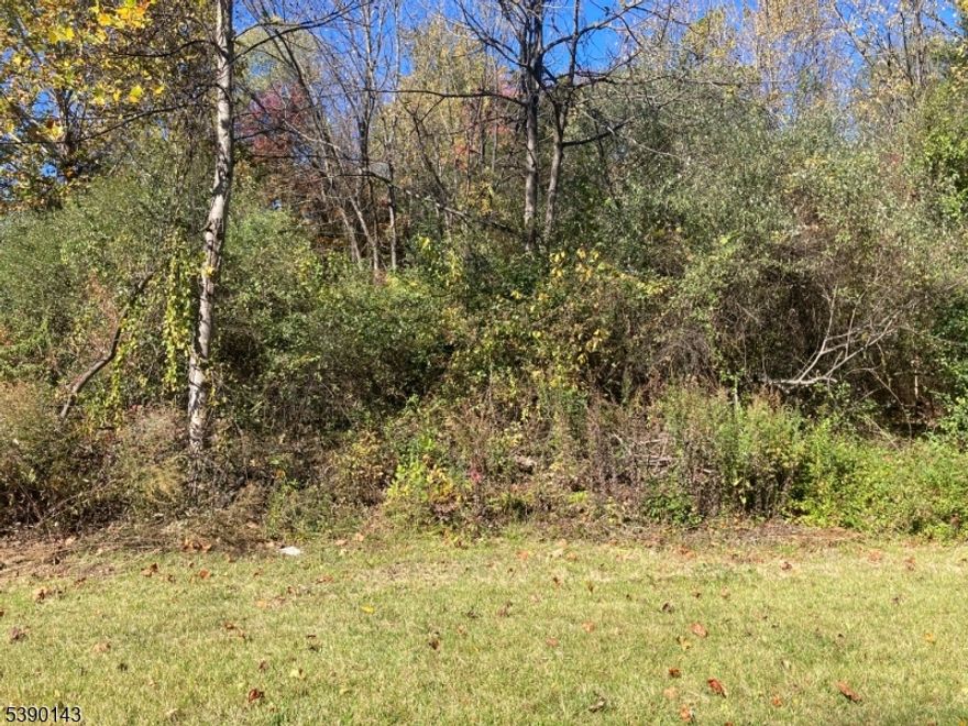 Bring your vision and build your dream home on this beautiful 3-acre corner lot in scenic Warren County! Surrounded by preserved farmland and rolling countryside, this property offers the perfect blend of privacy and convenience. Quick access to Routes 80 & 94 ideal for commuters. An electrical box is on the property and expired perc test on file. Buyer responsible for conducting their due diligence for a new perc test and any required town approvals. A wonderful opportunity to create your ideal retreat or forever home in a peaceful rural setting!