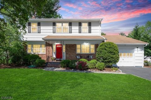 924 Brown Ave Westfield Town NJ 07090