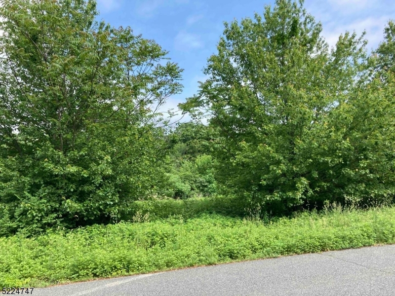 Meadow Ridge Development - Land