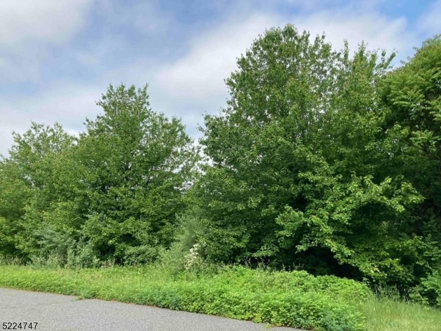 Great location to build your dream home! Fantastic buildable lot on cul-de-sac in desirable subdivision. Amazing views of the Delaware Water Gap and surrounding mountain range.