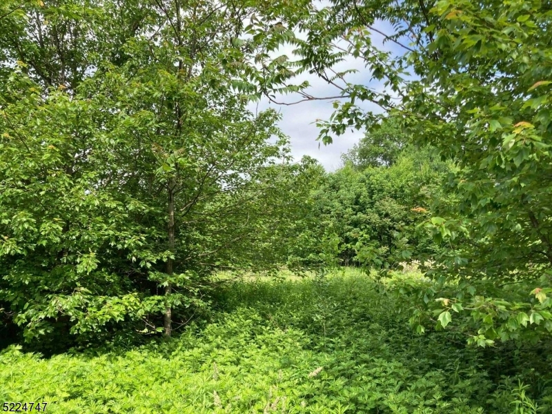 Meadow Ridge Development - Land