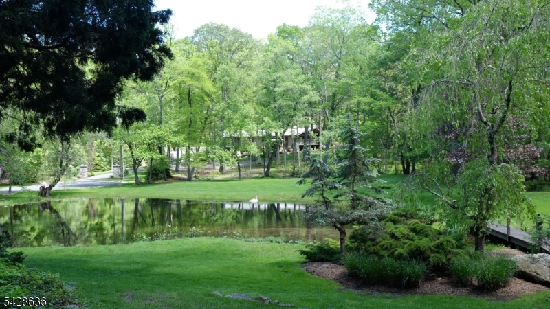 Smoke Rise gated community - Residential