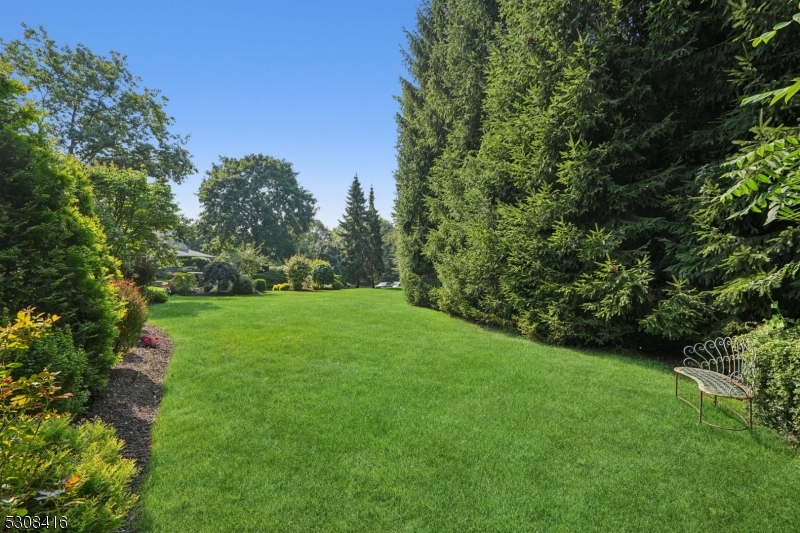 The Hill - Residential