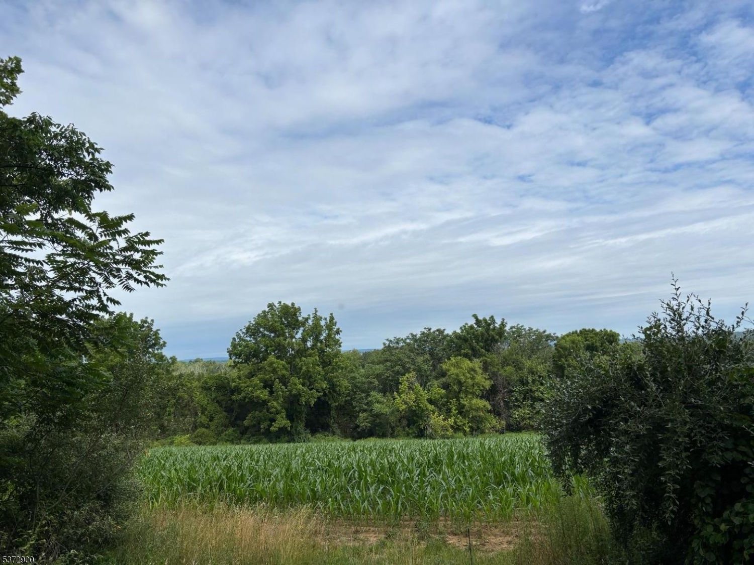 Panther Valley - Land