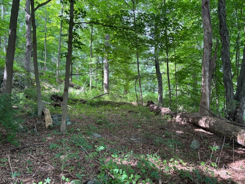 Panther Valley - Land