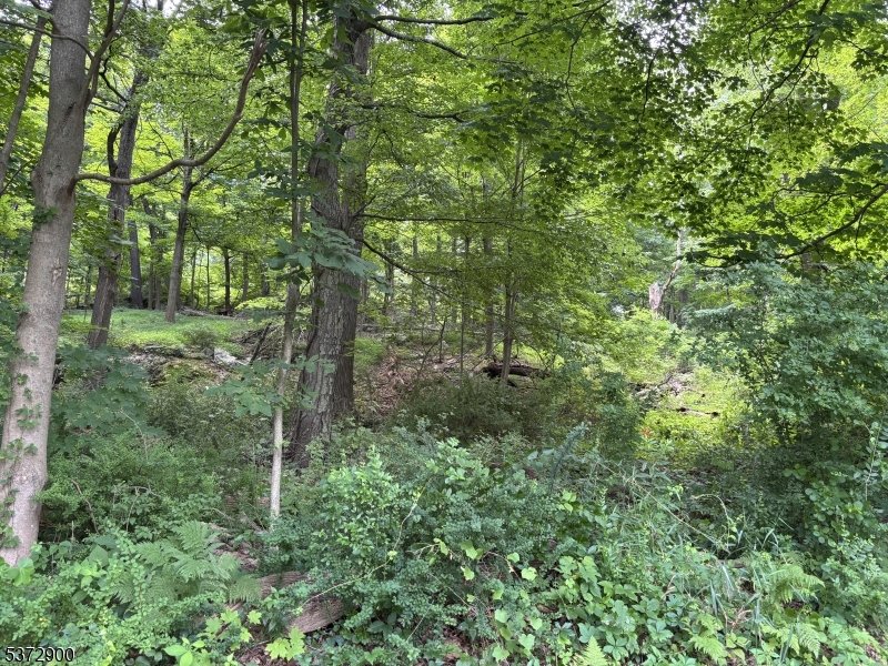 Panther Valley - Land