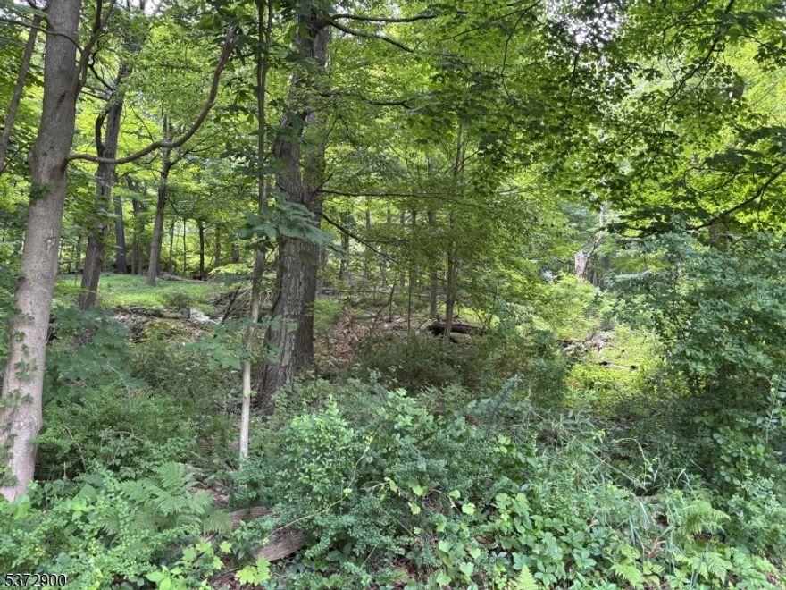 VIEWS!  Plus the amenities of living in the  fabulous Panther Valley Community.  Build your dream home with amazing views of protected "green acres" property and enjoy Panther Valley 's pools, playgrounds, tennis & basketball courts.   Seller offering builders' terms , will hold a note  with 25% down.  All required work to obtain building permit were previously obtained by current owner, most  items will need to be updated and resubmitted by new owner. Seller will convey all docs to buyer including the previously approved   3 br septic plan  which is in the front of house , the driveway and permit. Prior plan included a rear  walkout from the living areas to a level yard. Property is part of Panther Valley Community and near the rear entrance for use of 3 pools, tennis courts and playgrounds.  Currently  low monthly fee of $38.00. Fee collected at closing will be approx $75.00, monthly fee will increase to single family monthly fee which is currently $71.00. Property's rear boundary adjoins Panther Valley common space - near Mallard Ct .