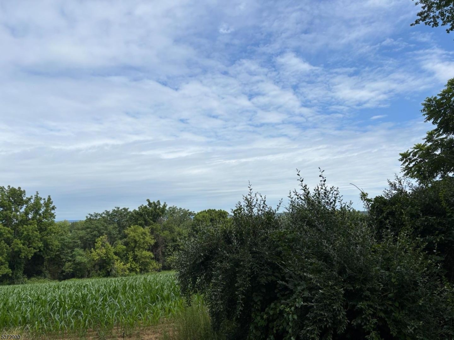 Panther Valley - Land