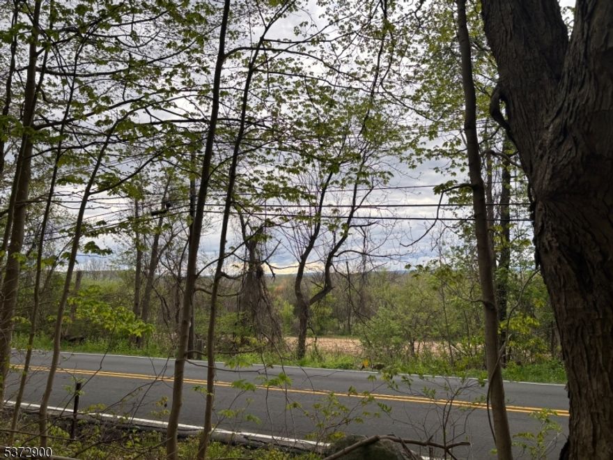 VIEWS!  Plus the amenities of living in the  fabulous Panther Valley Community.  Build your dream home with amazing views of protected "green acres" property and enjoy Panther Valley 's pools, playgrounds, tennis & basketball courts.   Seller offering builders' terms , will hold a note  with 25% down.  All required work to obtain building permit were previously obtained by current owner, most  items will need to be updated and resubmitted by new owner. Seller will convey all docs to buyer including the previously approved   3 br septic plan  which is in the front of house , the driveway and permit. Prior plan included a rear  walkout from the living areas to a level yard. Property is part of Panther Valley Community and near the rear entrance for use of 3 pools, tennis courts and playgrounds.  Currently  low monthly fee of $38.00. Fee collected at closing will be approx $75.00, monthly fee will increase to single family monthly fee which is currently $71.00. Property's rear boundary adjoins Panther Valley common space - near Indigo Court /Mallard Rd