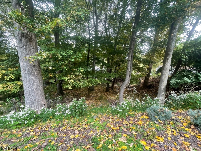 PANTHER VALLEY - Land