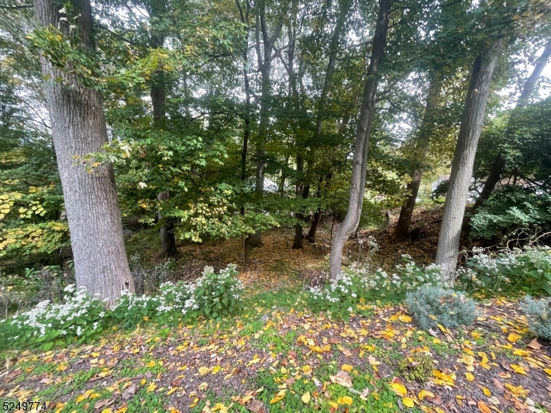 PANTHER VALLEY - Land