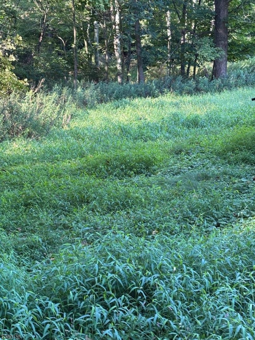 Jacksonburg - Residential