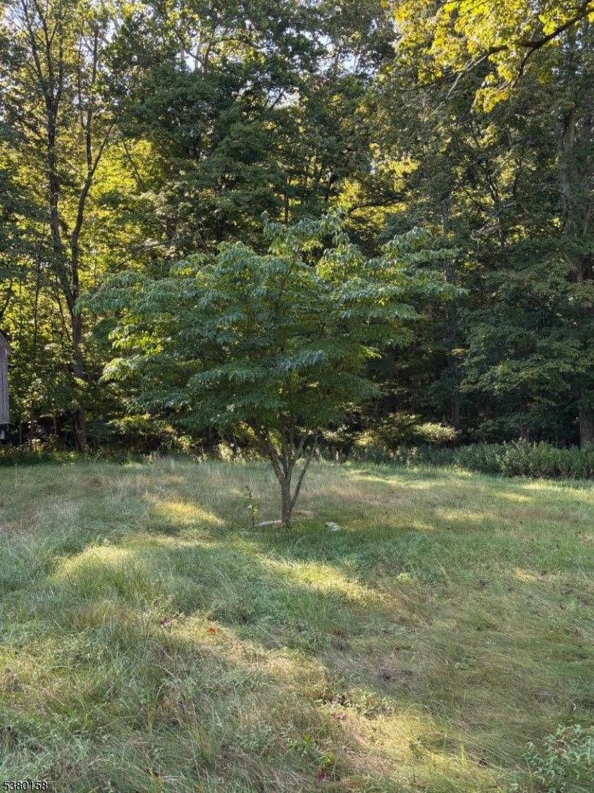 Jacksonburg - Residential