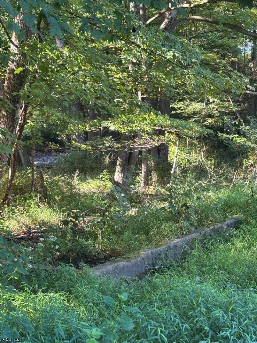 Jacksonburg - Residential