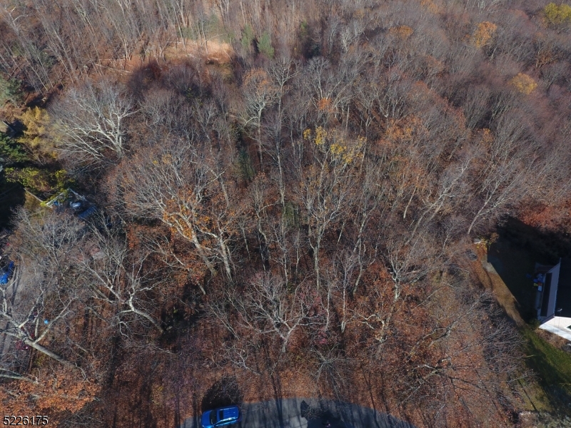 Lake Panorama - Land