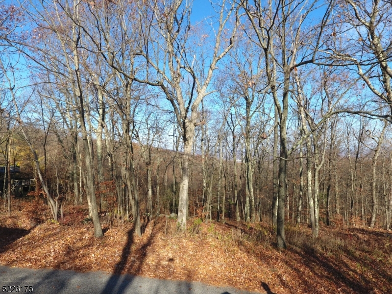 Lake Panorama - Land