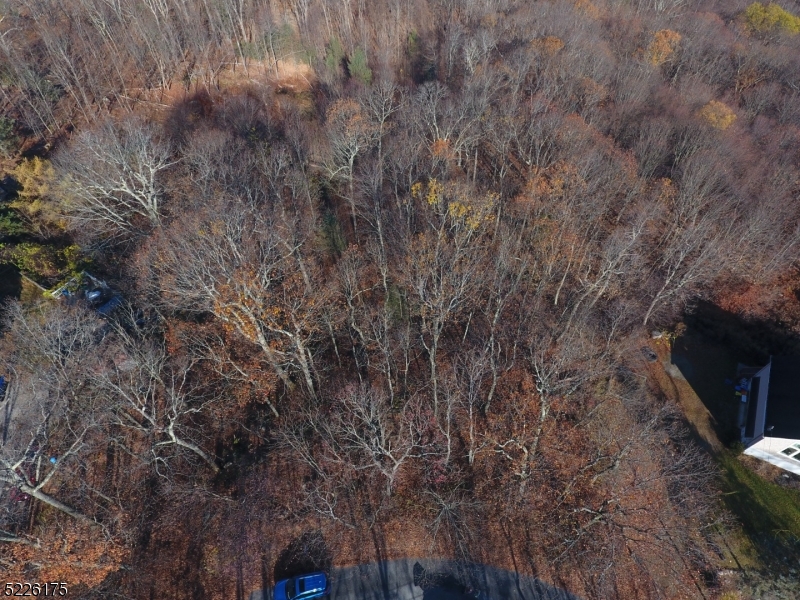 Lake Panorama - Land