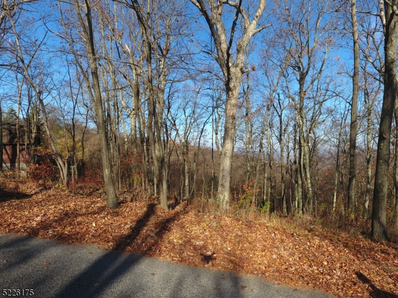 Lake Panorama - Land