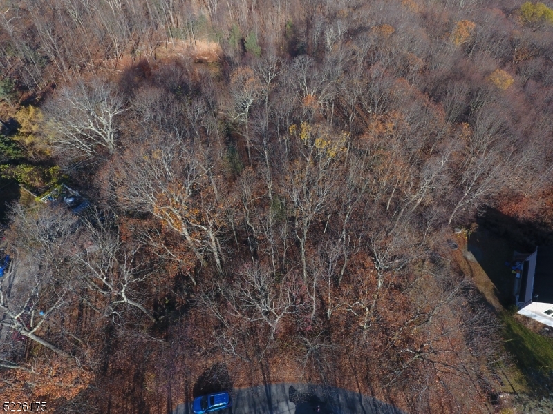 Lake Panorama - Land