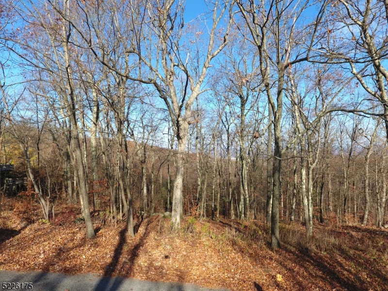 Lake Panorama - Land