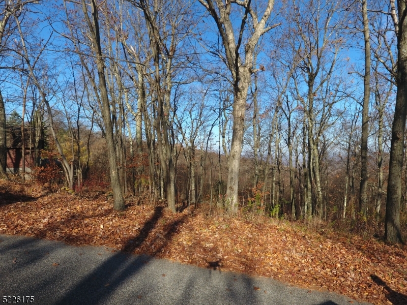 Lake Panorama - Land